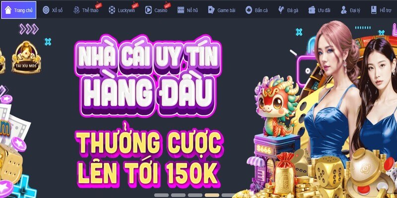 Cần truy cập vào trang chính chủ của nhà cái để thực hiện đăng nhập 